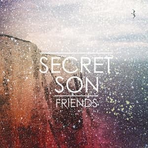 Album cover art for Friends
