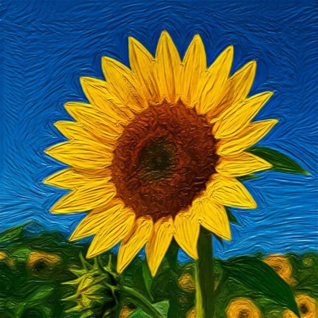 Album cover art for Sunflower