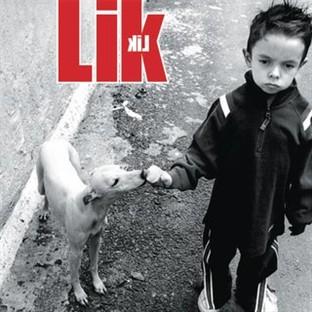 Album cover art for Lik