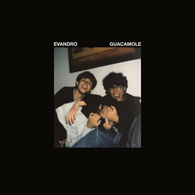 Album cover art for Guacamole