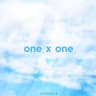 One X One