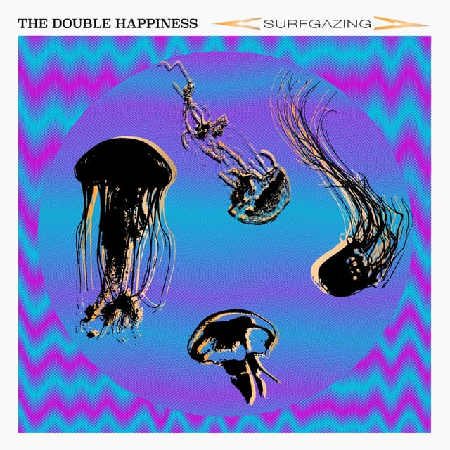 Album cover art for Surfgazing