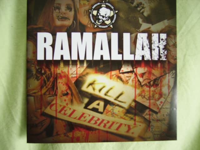 Album cover art for Kill A Celebrity
