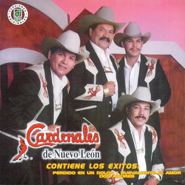 Album cover art for La Fortaleza Está Contigo