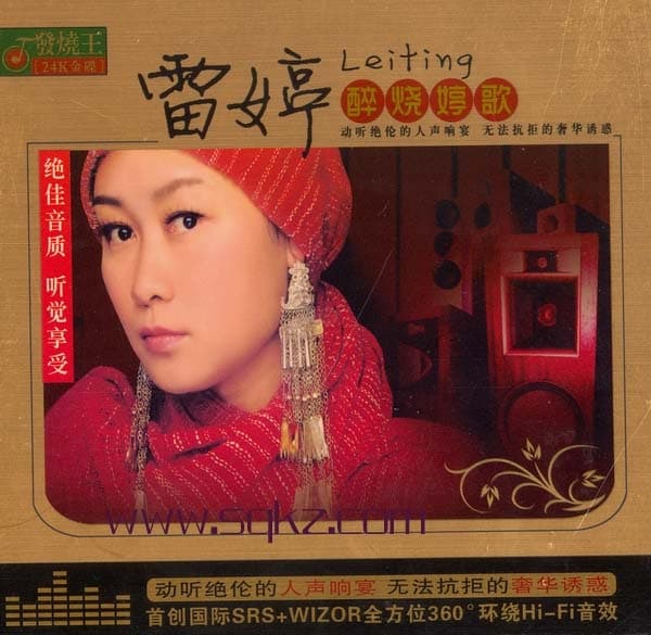 Album cover art for 醉烧婷歌
