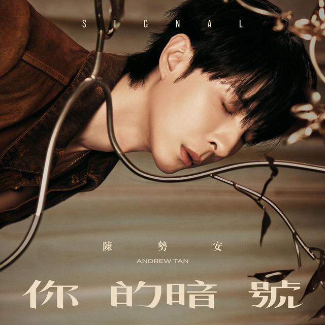 Album cover art for 你的暗號