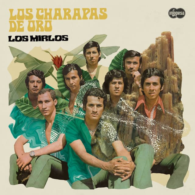 Album cover art for Los Charapas De Oro