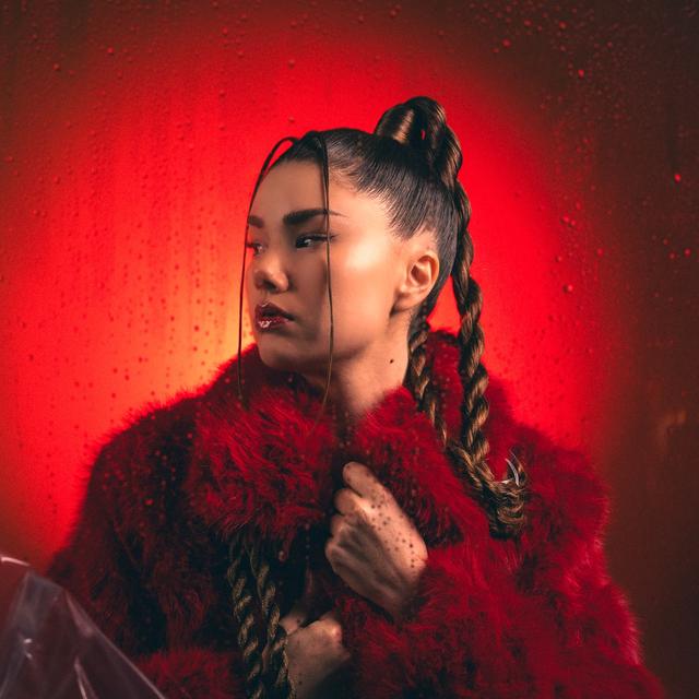 Album cover art for Tout dire