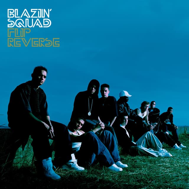 Album cover art for Flip Reverse