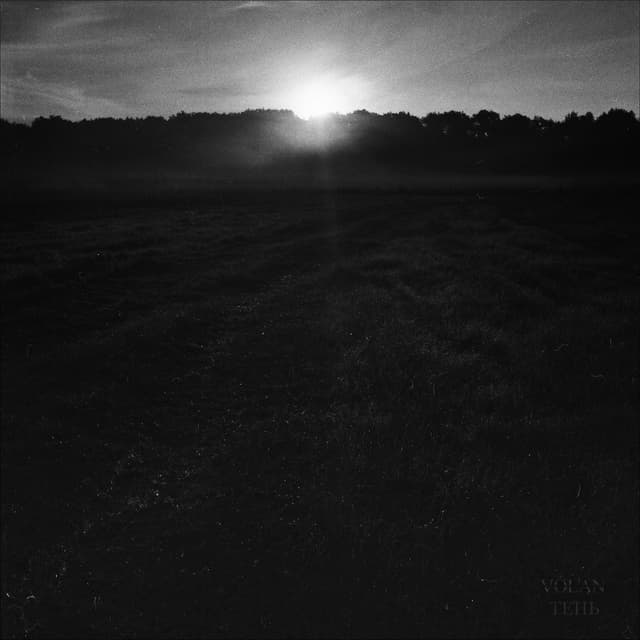 Album cover art for Тень