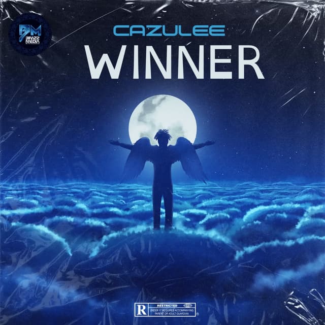 Album cover art for Winner