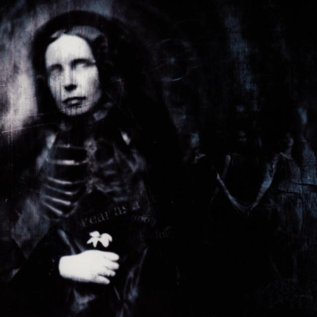 Album cover art for Anomalies