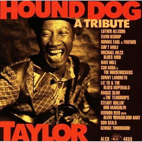 Album cover art for Hound Dog Taylor: A Tribute