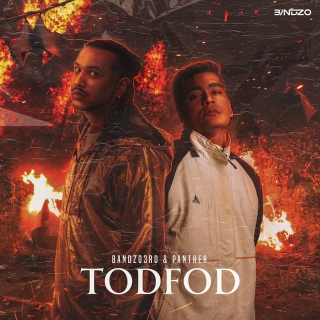 Album cover art for Tod Fod