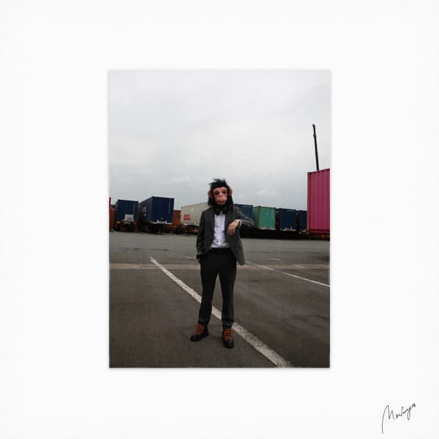 Album cover art for Monkeys