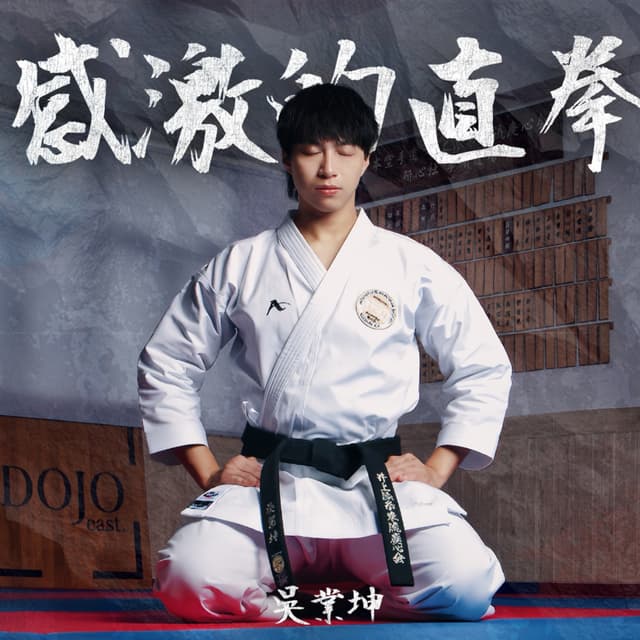 Album cover art for 感激的直拳