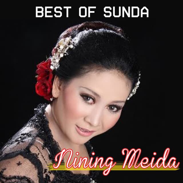 Album cover art for Best Of Sunda