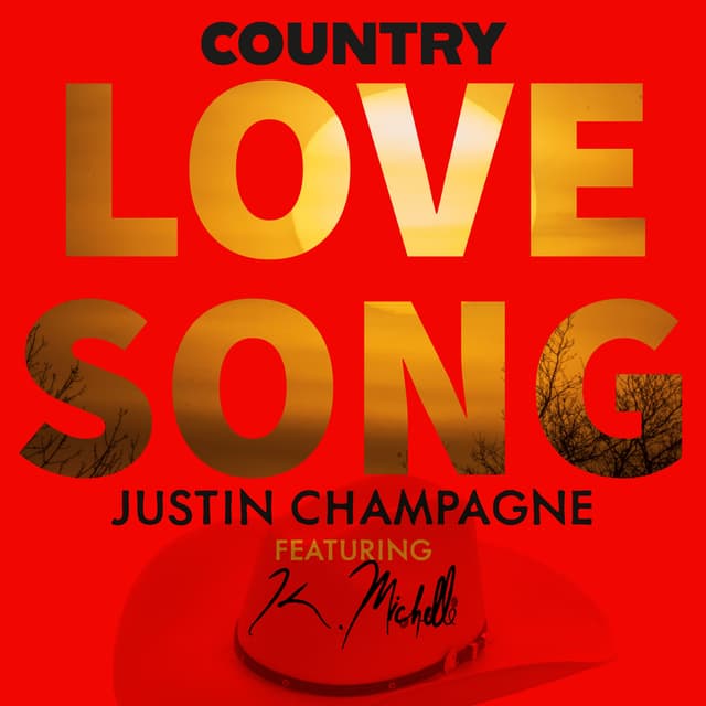Album cover art for Country Love Song