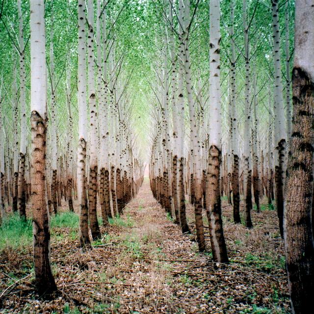 Album cover art for Beat Romantic