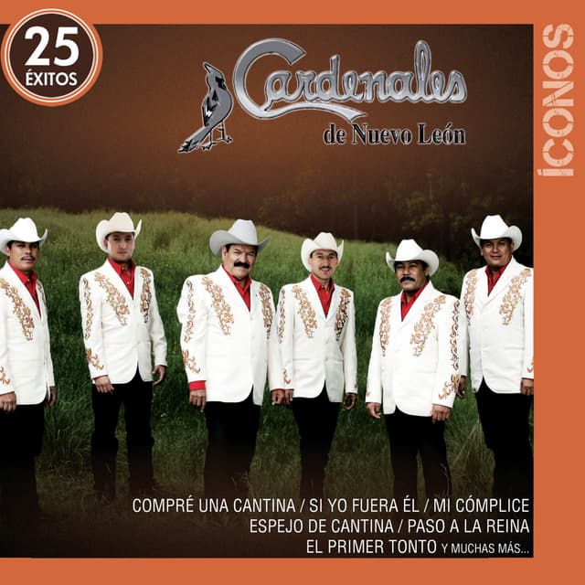 Album cover art for Íconos 25 Éxitos