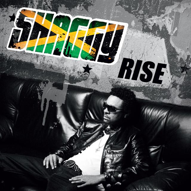 Album cover art for Rise