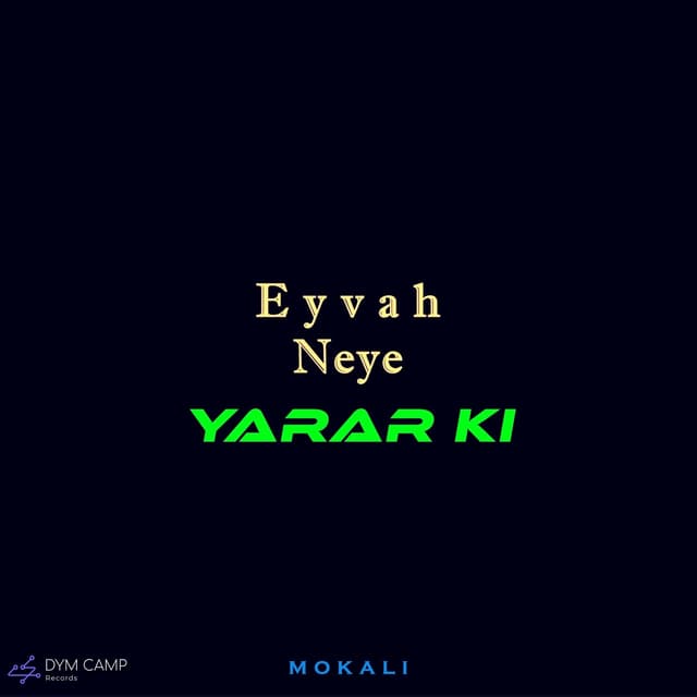 Album cover art for Eyvah Neye Yarar Ki (Slowed)