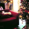 The Holiday