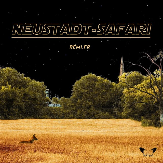 Album cover art for Neustadt Safari