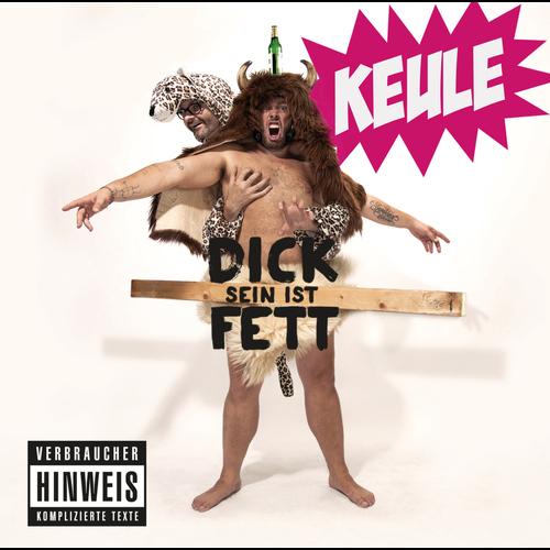 Album cover art for Dick sein ist fett