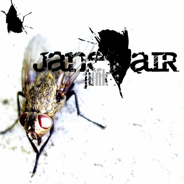 Album cover art for Junk