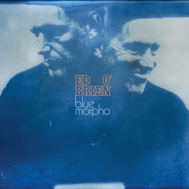 Album cover art for Blue Morpho
