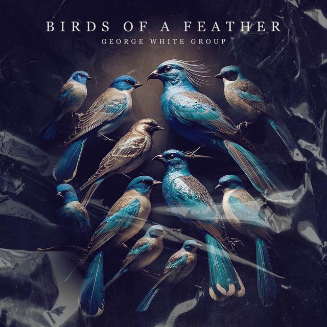 Album cover art for BIRDS OF A FEATHER - Single