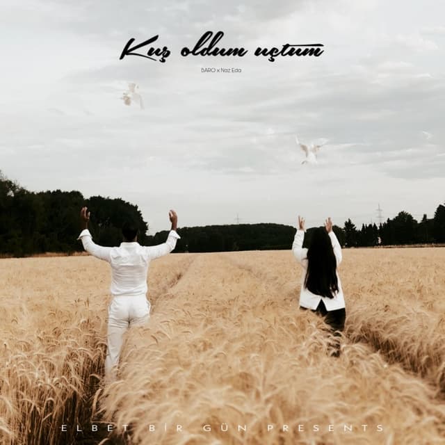 Album cover art for KUŞ OLDUM UÇTUM
