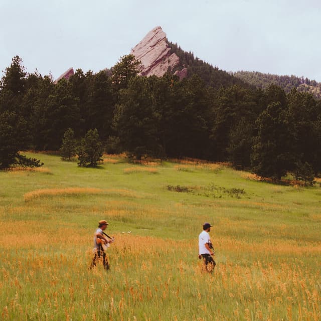 Album cover art for Comfort in Misery