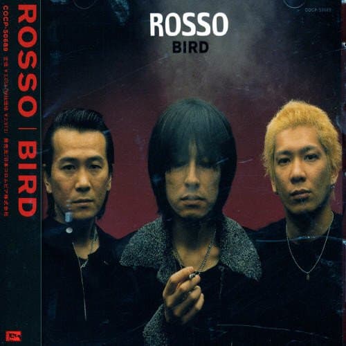 Album cover art for Bird