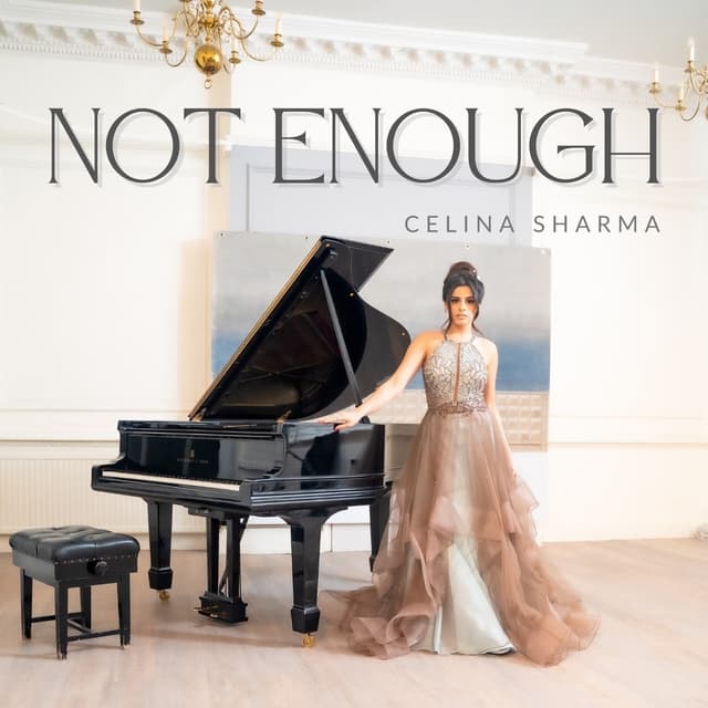 Album cover art for Not Enough - Single