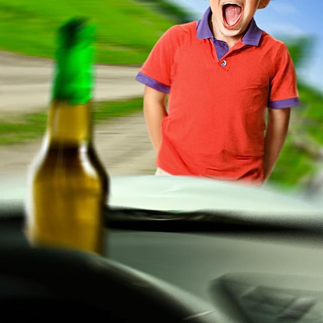 Album cover art for dui