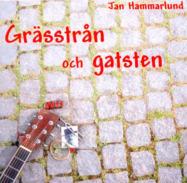 Album cover art for Grässtrån och gatsten