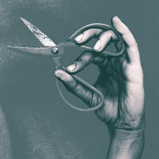 Album cover art for Riposte