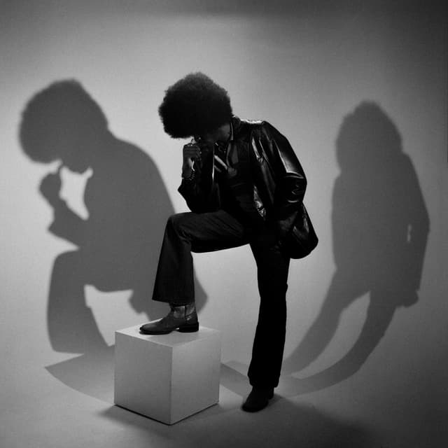 Album cover art for Shadow