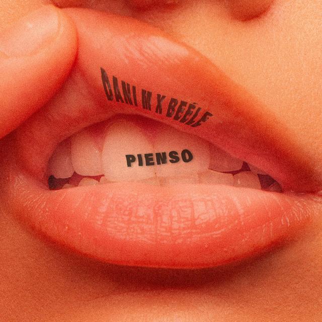 Album cover art for PIENSO