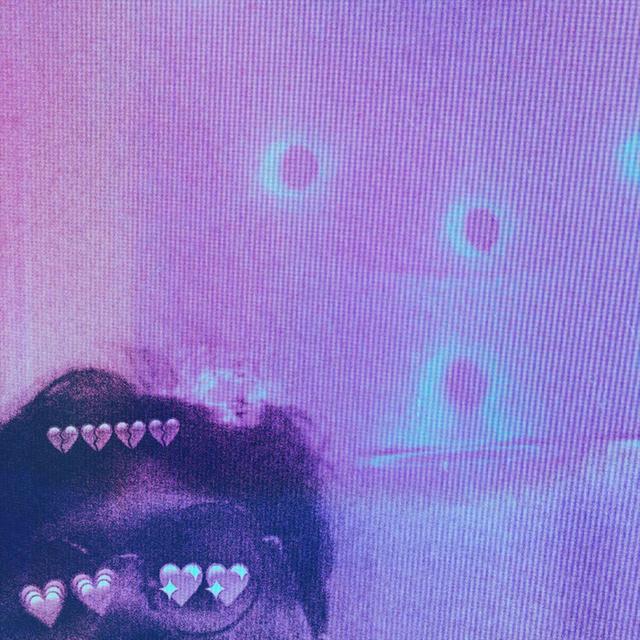 Album cover art for Sharing Baggage