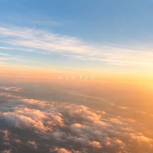 Album cover art for STUPID