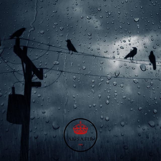 Album cover art for Shars 2019