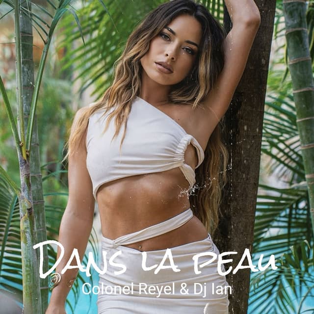 Album cover art for Dans la peau