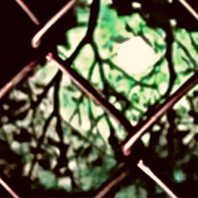 Album cover art for Wutuwant