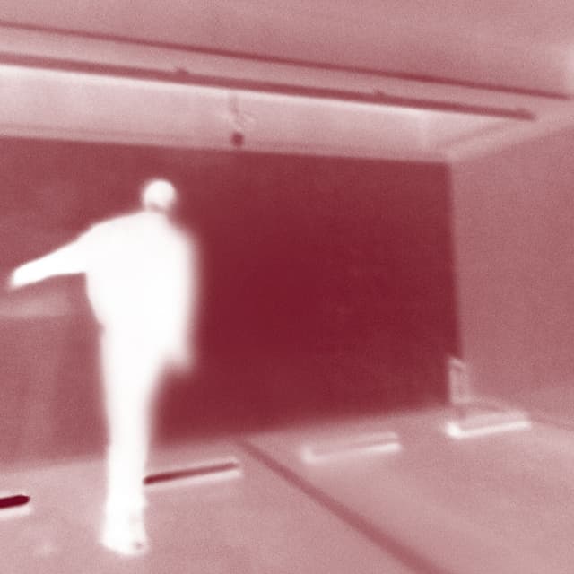 Album cover art for Last Long