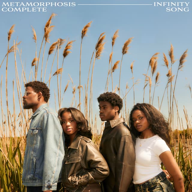 Album cover art for Metamorphosis Complete