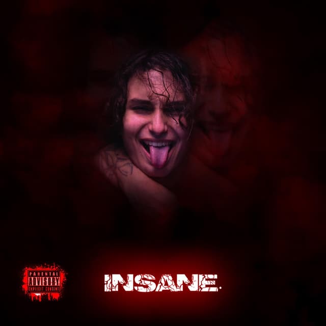 Album cover art for Insane.
