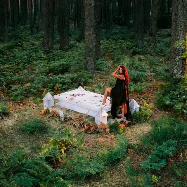 Album cover art for Dejándolo pasar